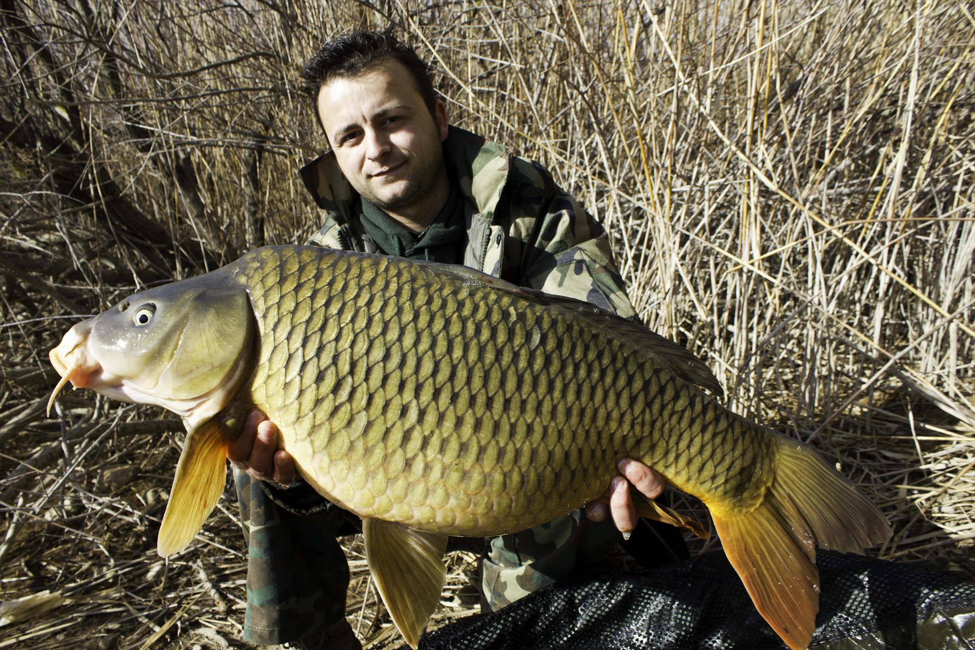 Carpfishing 2013 - mg7555.jpg